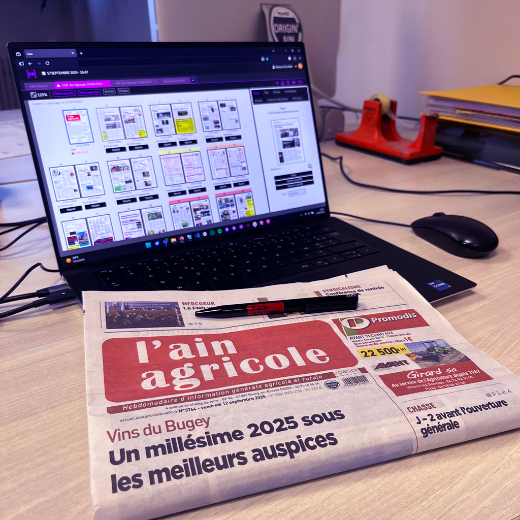 miniature article